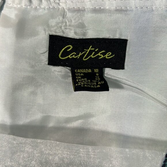 CARTISE SLEEVELESS KNEE LENGTH DRESS BACK ZIPPER IN SIZE 10 - Picture 3 of 8